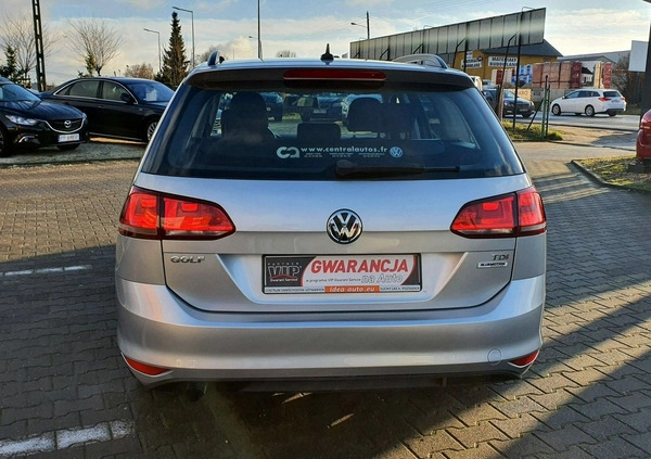 Volkswagen Golf cena 43900 przebieg: 180200, rok produkcji 2017 z Kalisz Pomorski małe 379